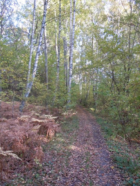 cxrundaiflatendreviken.JPG ht=725