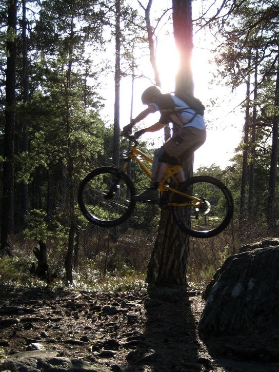 Cykel008_edited-1-1.jpg ht=725