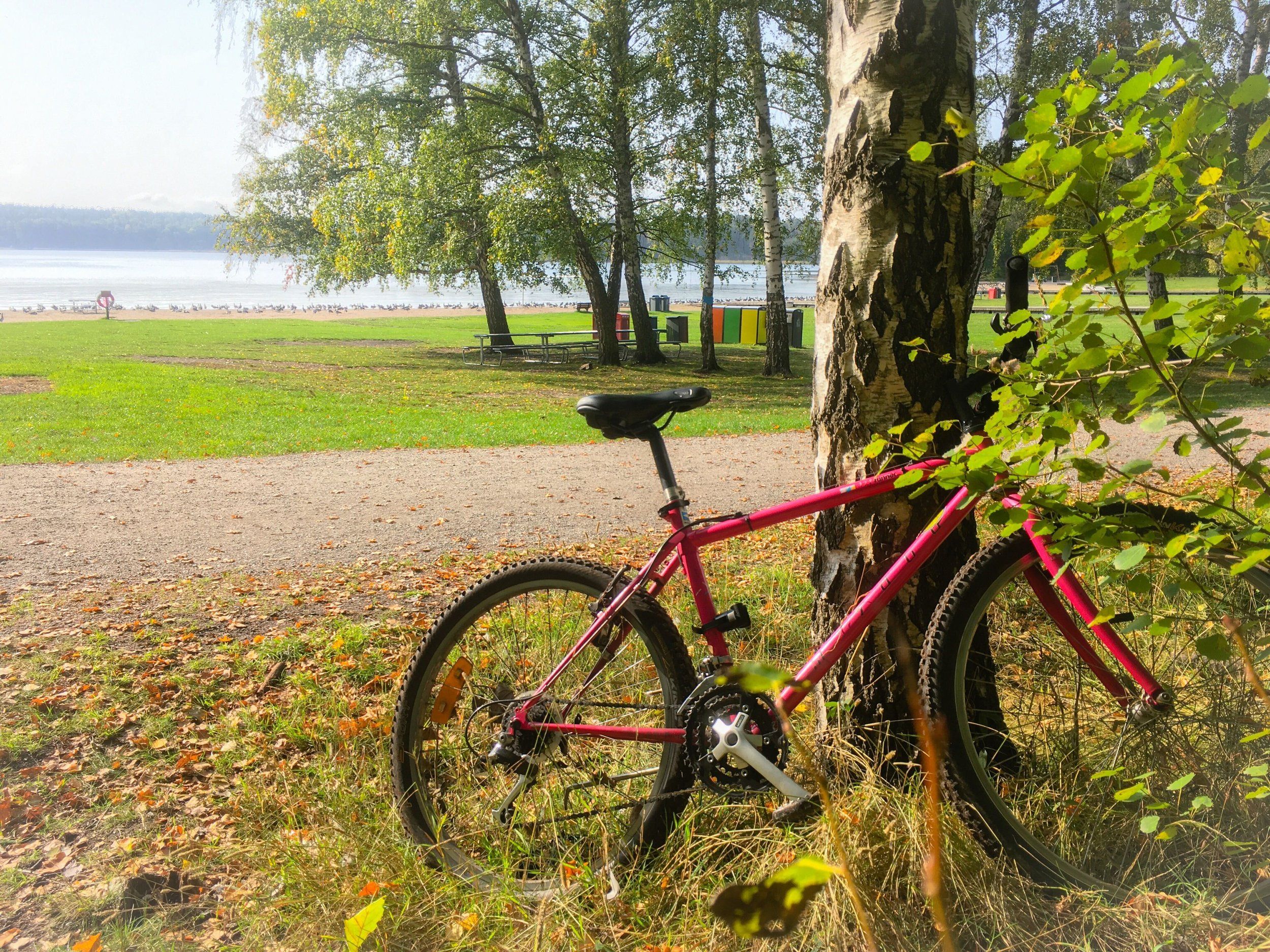 cykel-20200928-grimsta.jpg