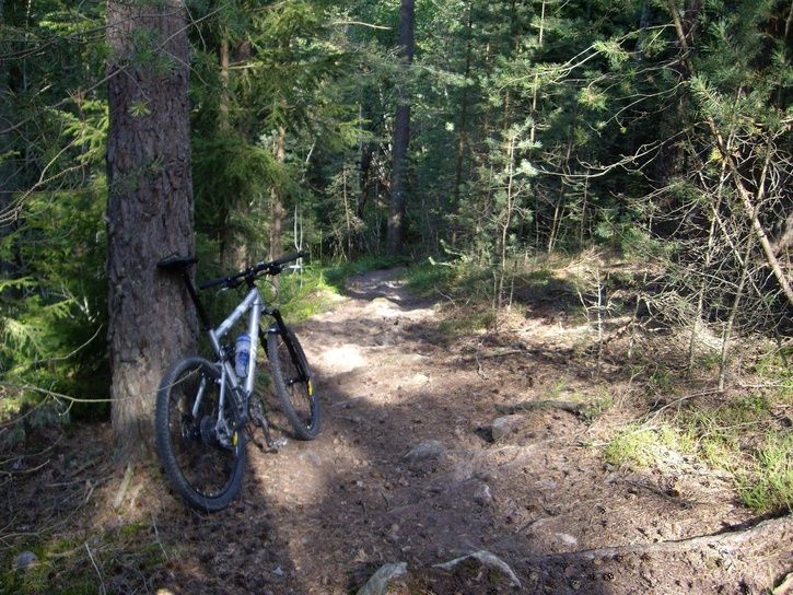 cykel30.JPG ht=544