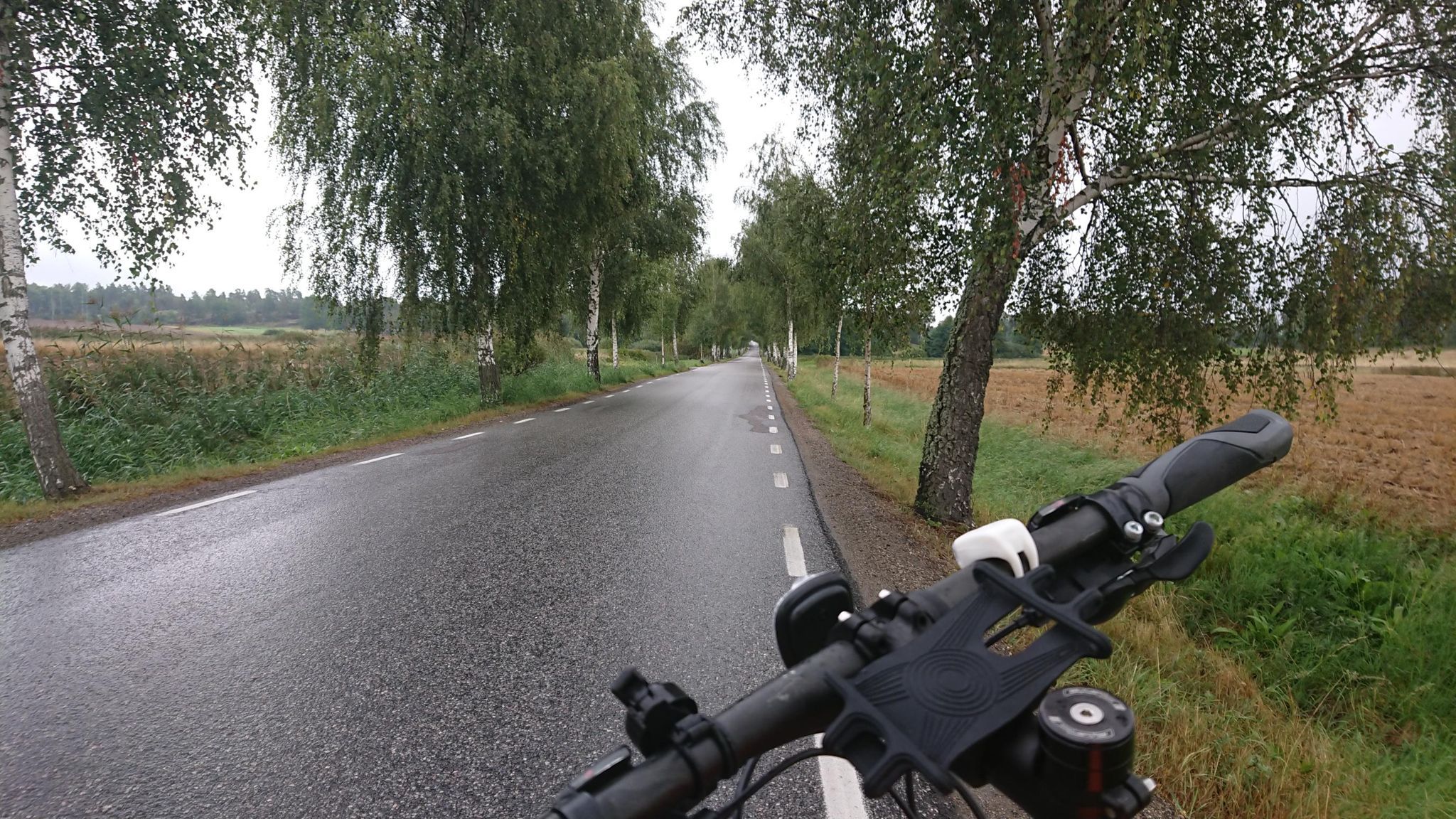 cykel-fra-20200903.jpg