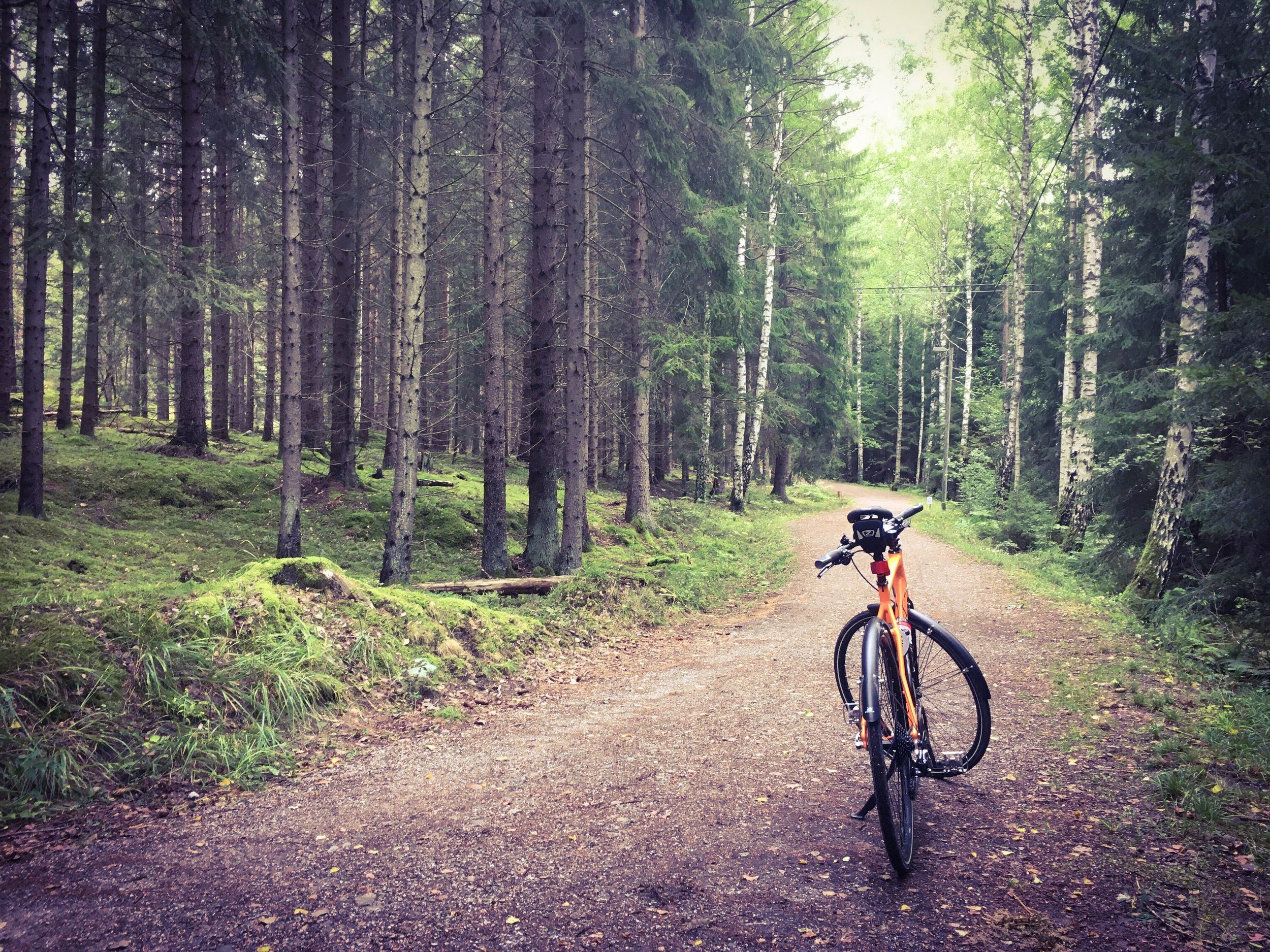 cykel-görväln-20200902.jpg