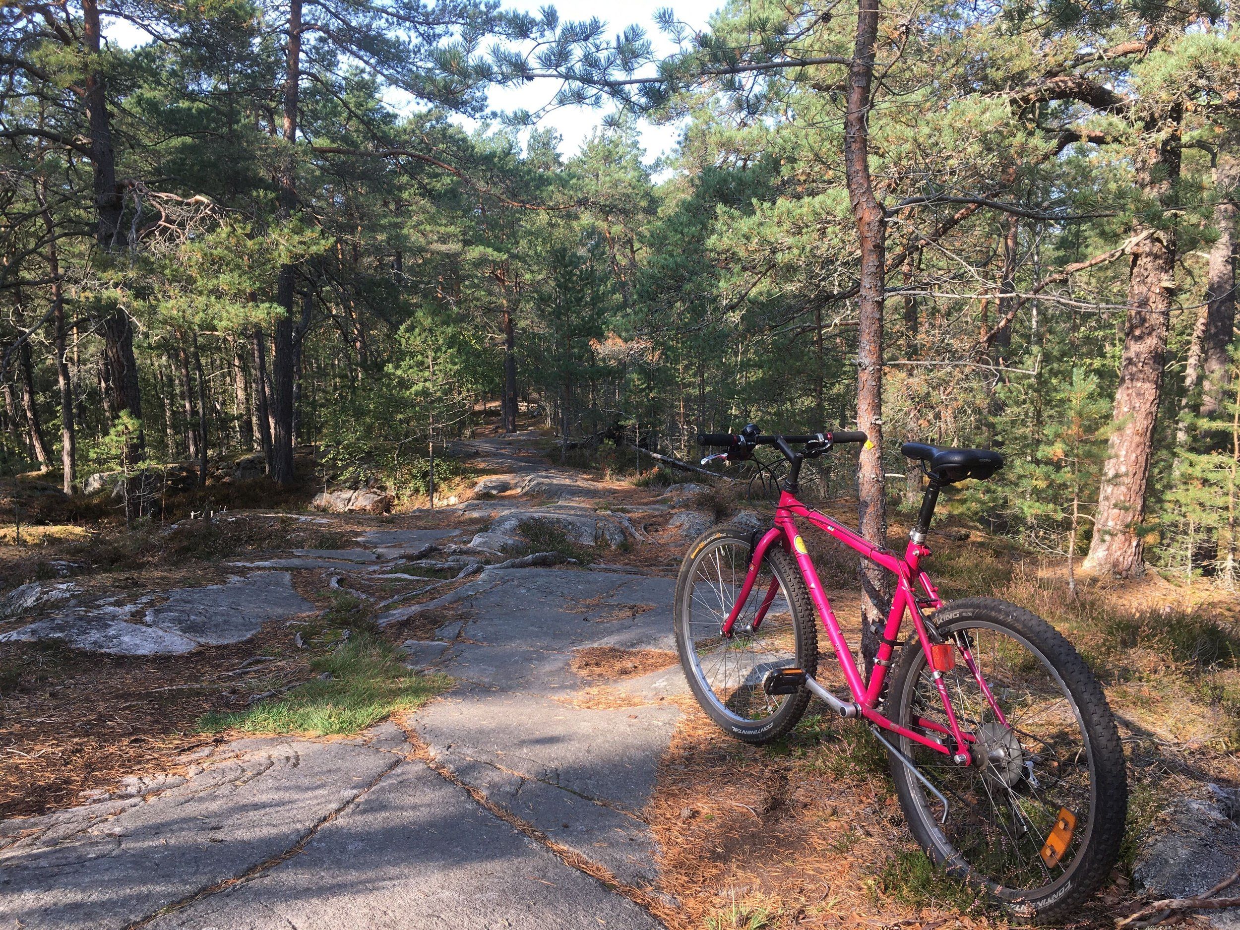 cykel-grimsta-20200923-5.jpg