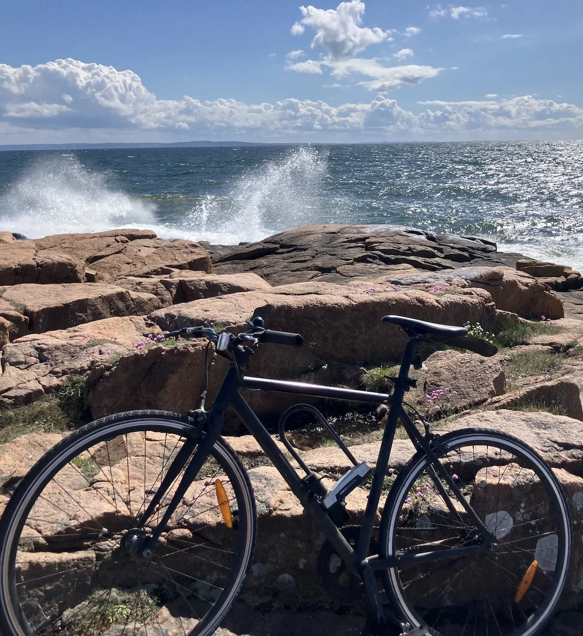 cykel-hav.webp