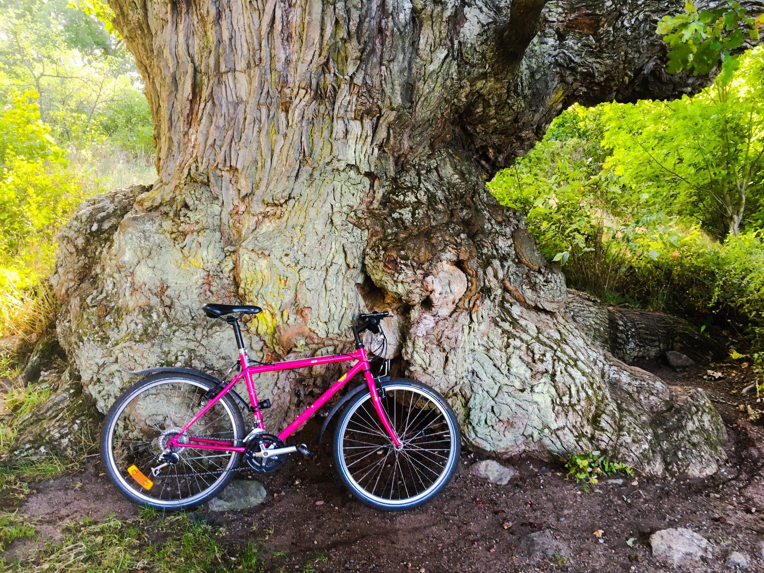 cykel-hummelmra-20200918-3.jpg