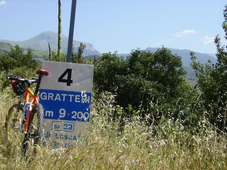 cykelhusetmaj11047.jpg