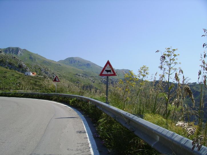 cykelhusetmaj11056.jpg