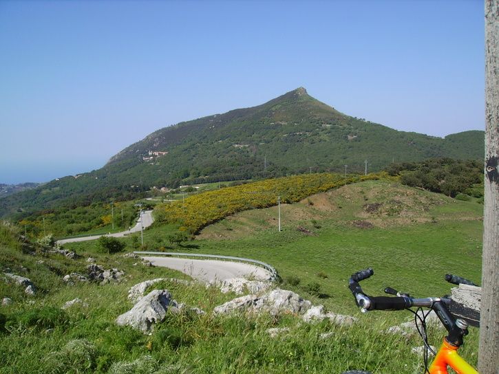 cykelhusetmaj11059.jpg