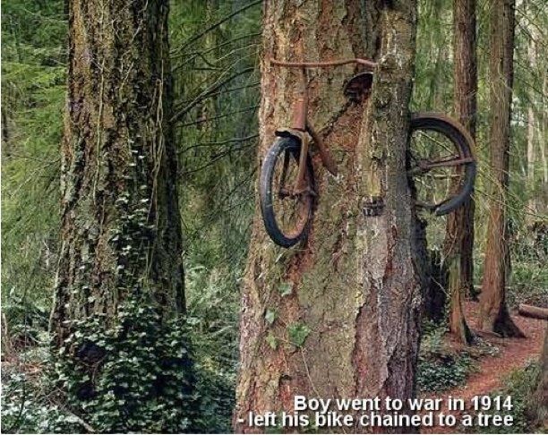 cykelitrd.jpg