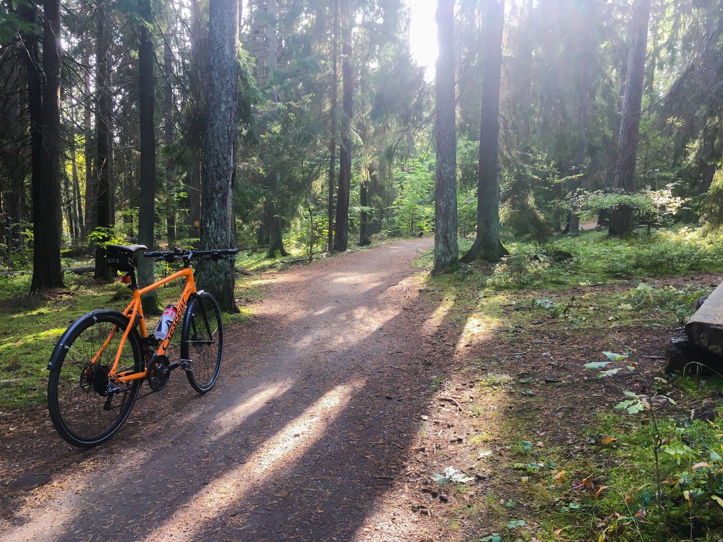 cykel-järvafältet-20200925.JPG