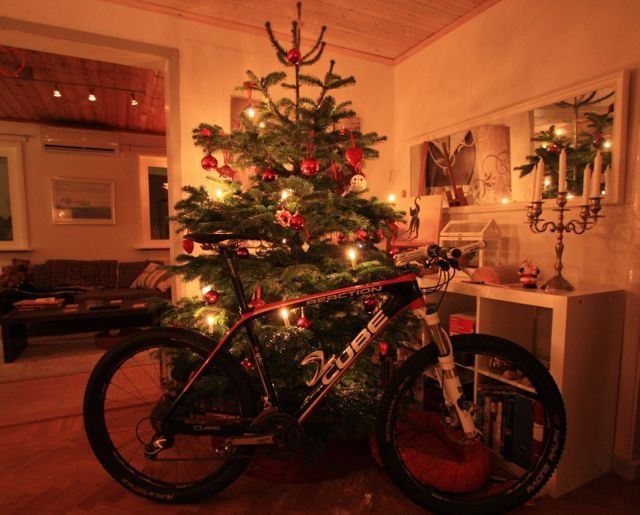 cykelmotgran.jpg