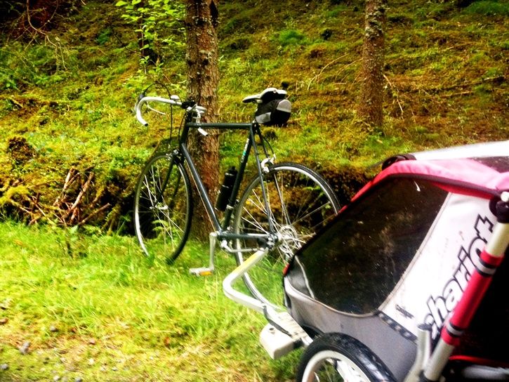 cykelmottrd.jpg
