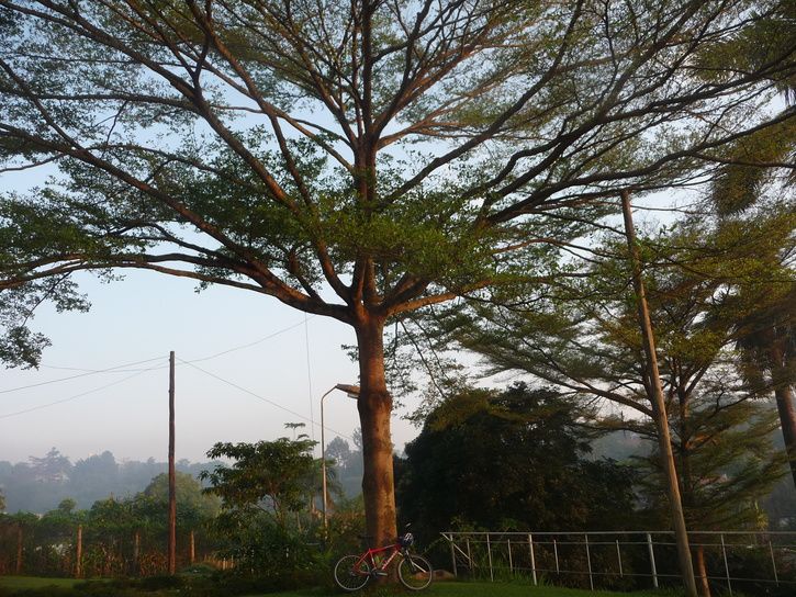 cykelmottrd.jpg