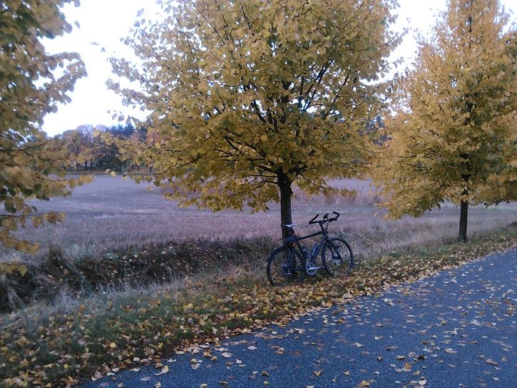 Cykelmottrd.jpg