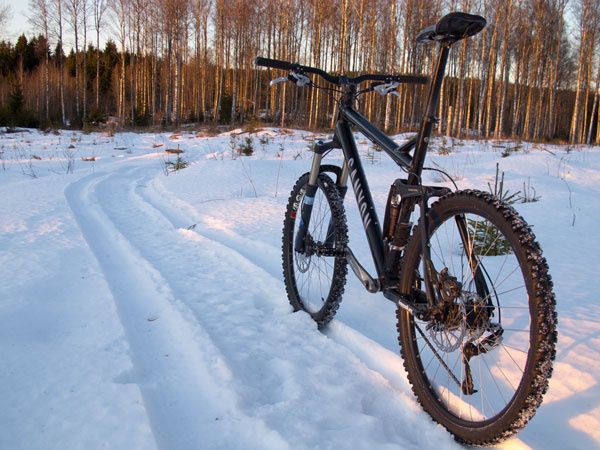 Cykel-orshulta.jpg