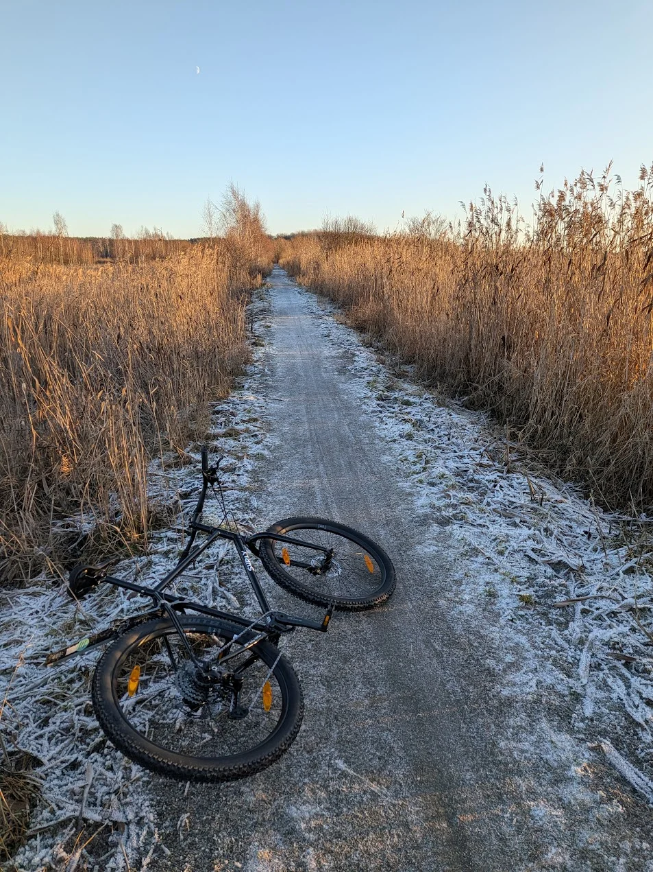 cykel.webp