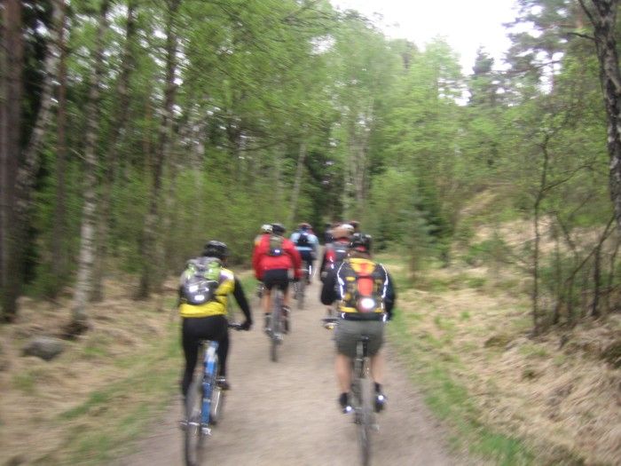 cykel3.JPG