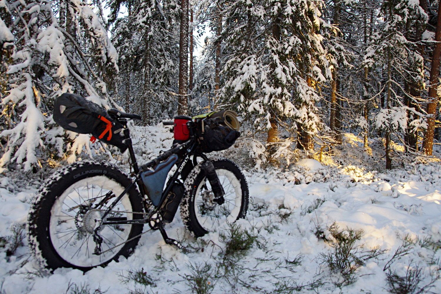 cykel4.jpg