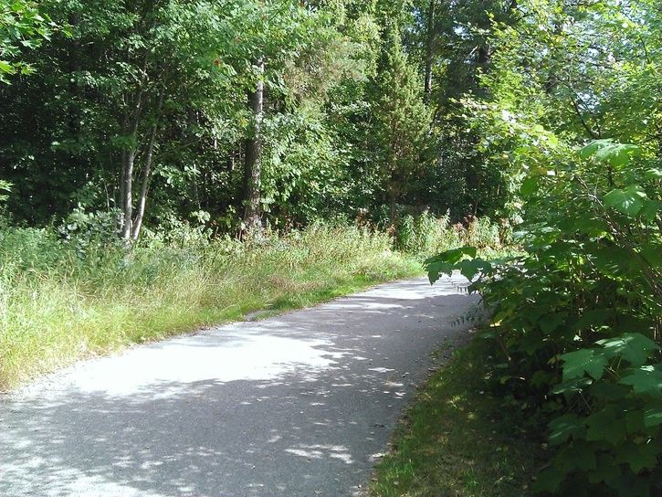 cykelbana1.jpg