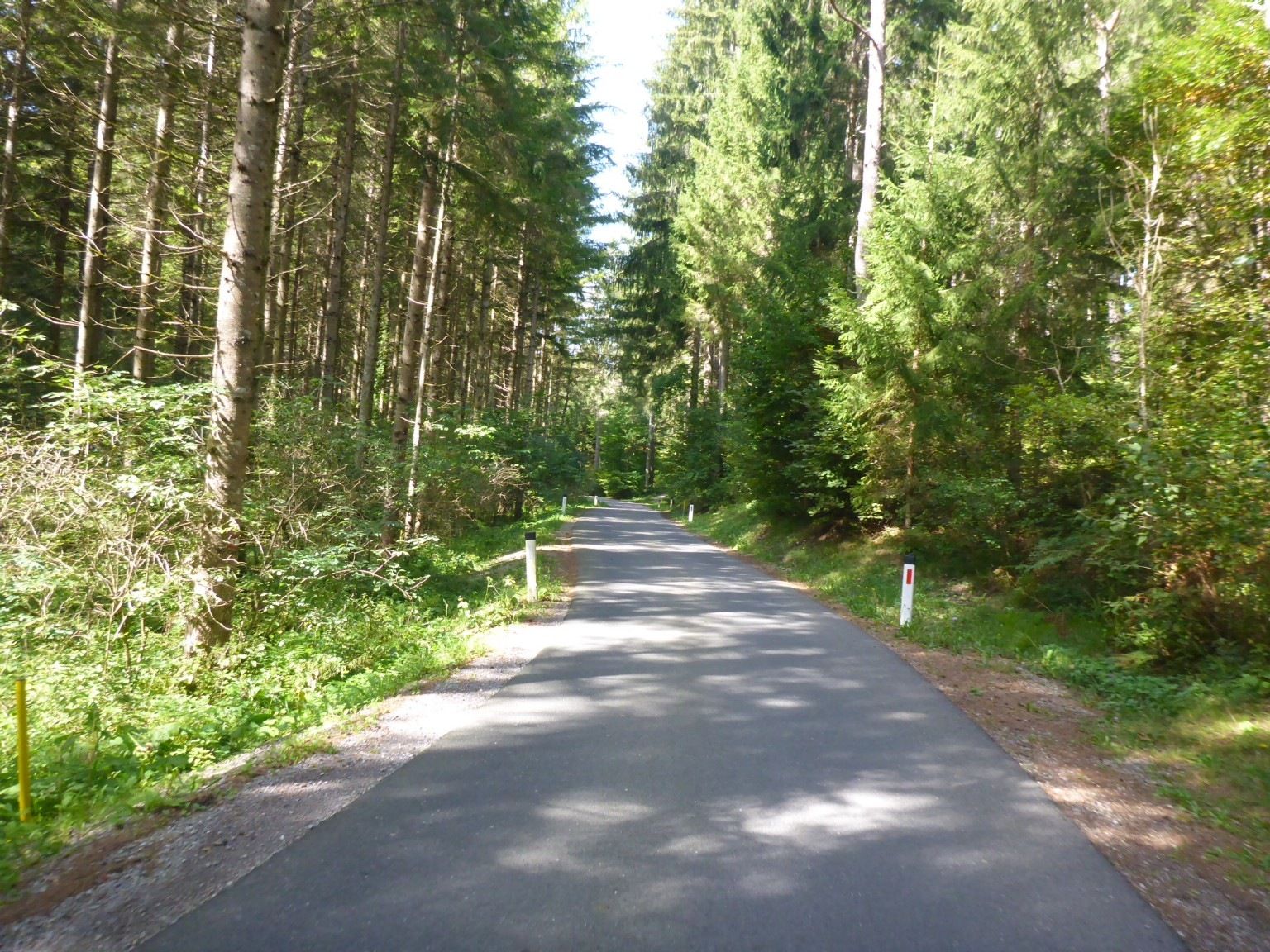 Cykelbana12.JPG