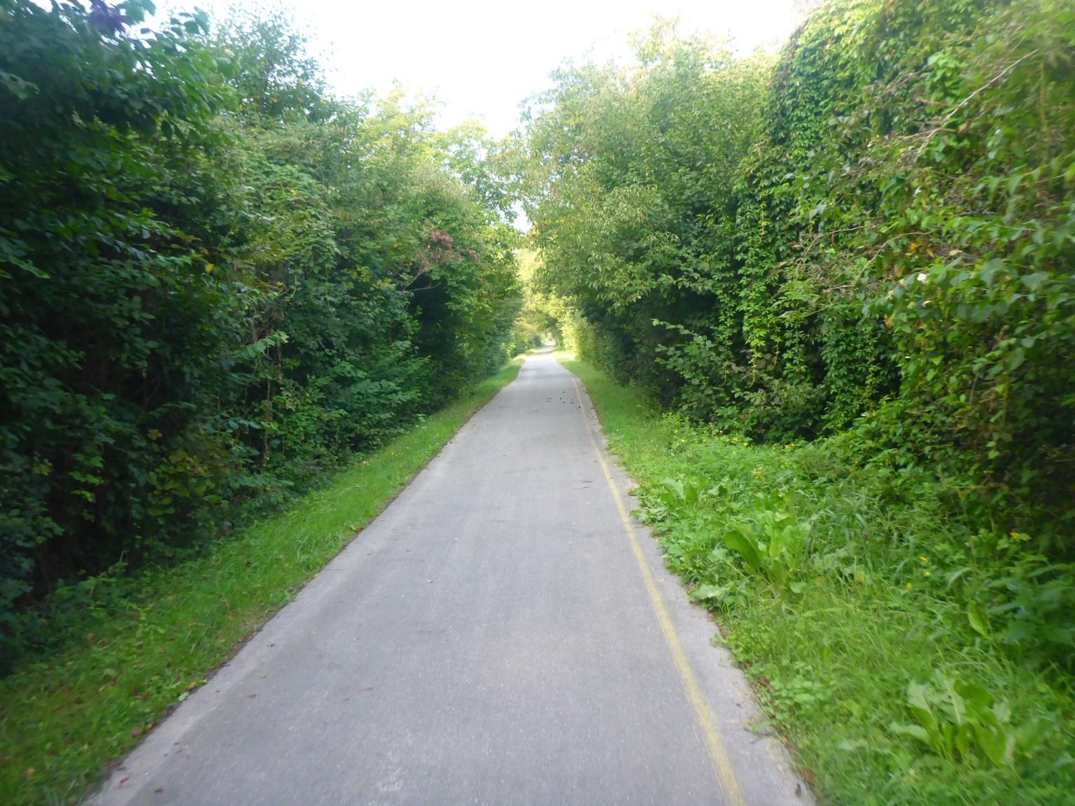 Cykelbana2.JPG