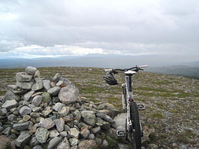 cykelmotrse2.jpg