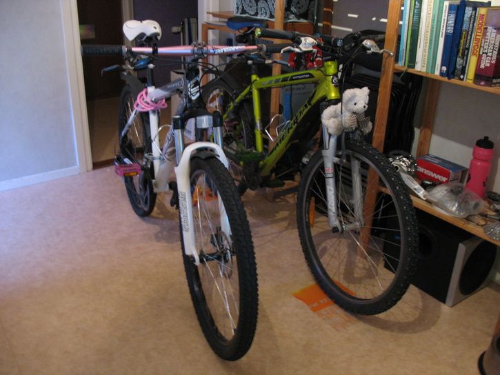 Cykelrep7.jpg