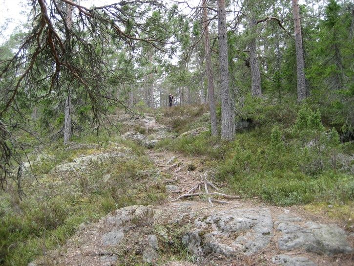 cykeltur_0704280014.JPG ht=544