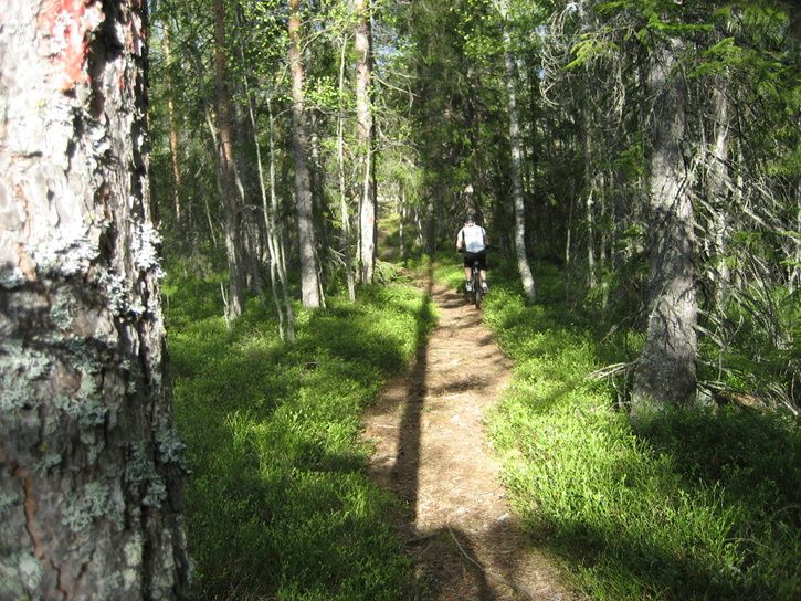 Cykeltur_070520012.jpg ht=544