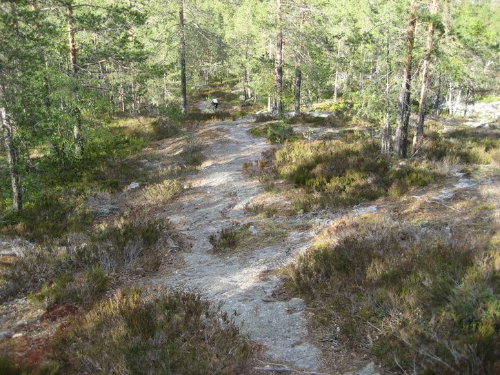 Cykeltur_070520014.jpg ht=544