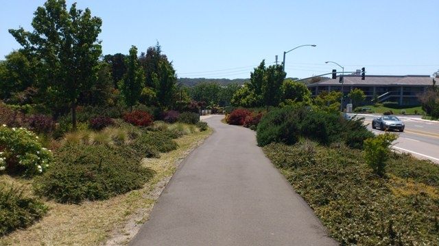 cykelvag.jpg
