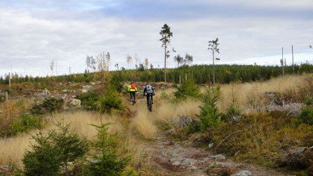 Cykelvasacyklar.jpg