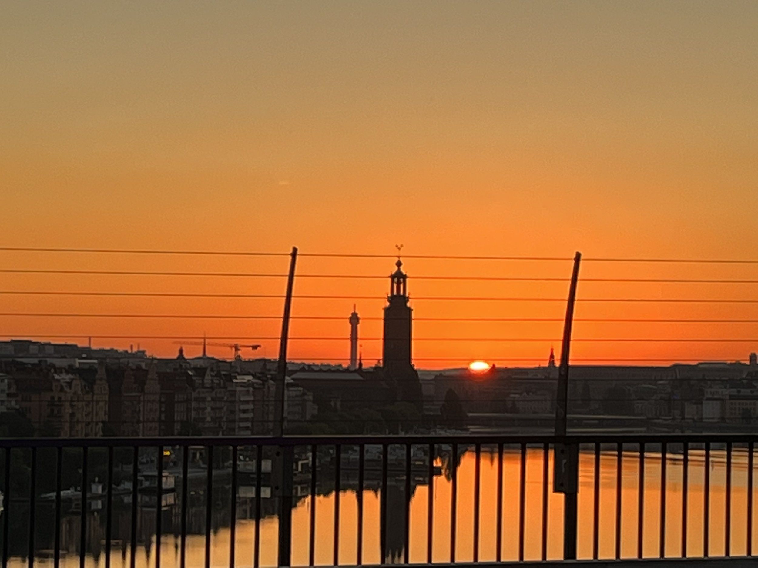 D0F55387-32FE-4480-B593-8214815F15D8.jpeg