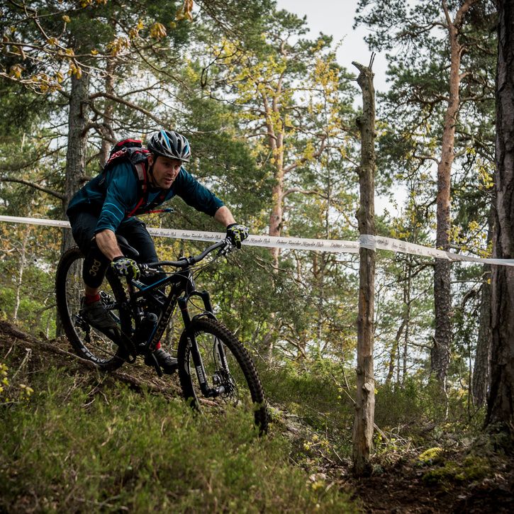 D3S_1939.jpg