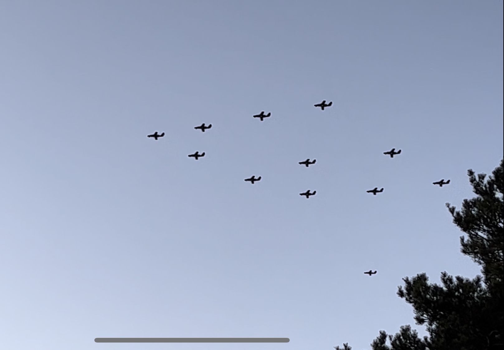 D4278055-5815-4B0A-8565-1935E4D8D799.jpeg