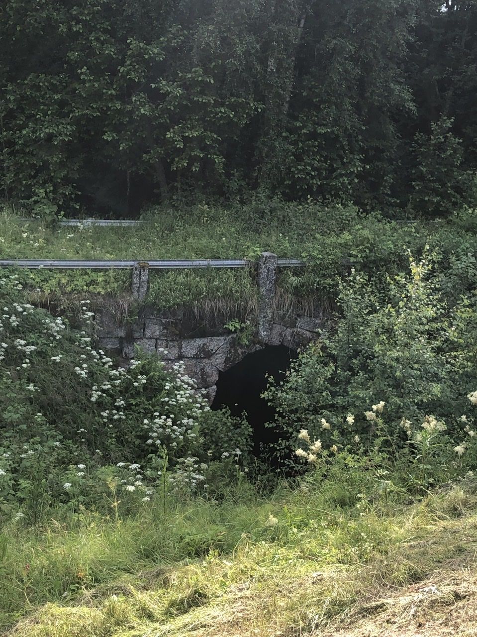 D60CE0C6-D41F-4469-A757-1078F91E5682.jpeg