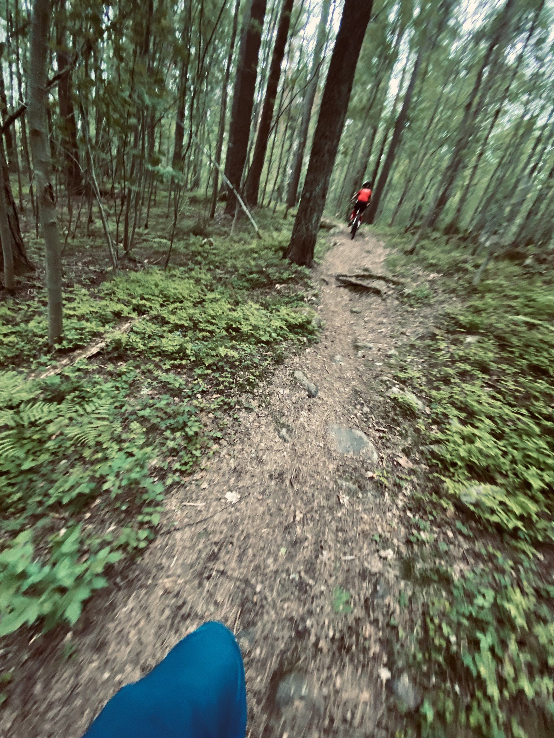 D7005D44-501A-4F0E-9D75-8F87EFA17936.jpeg