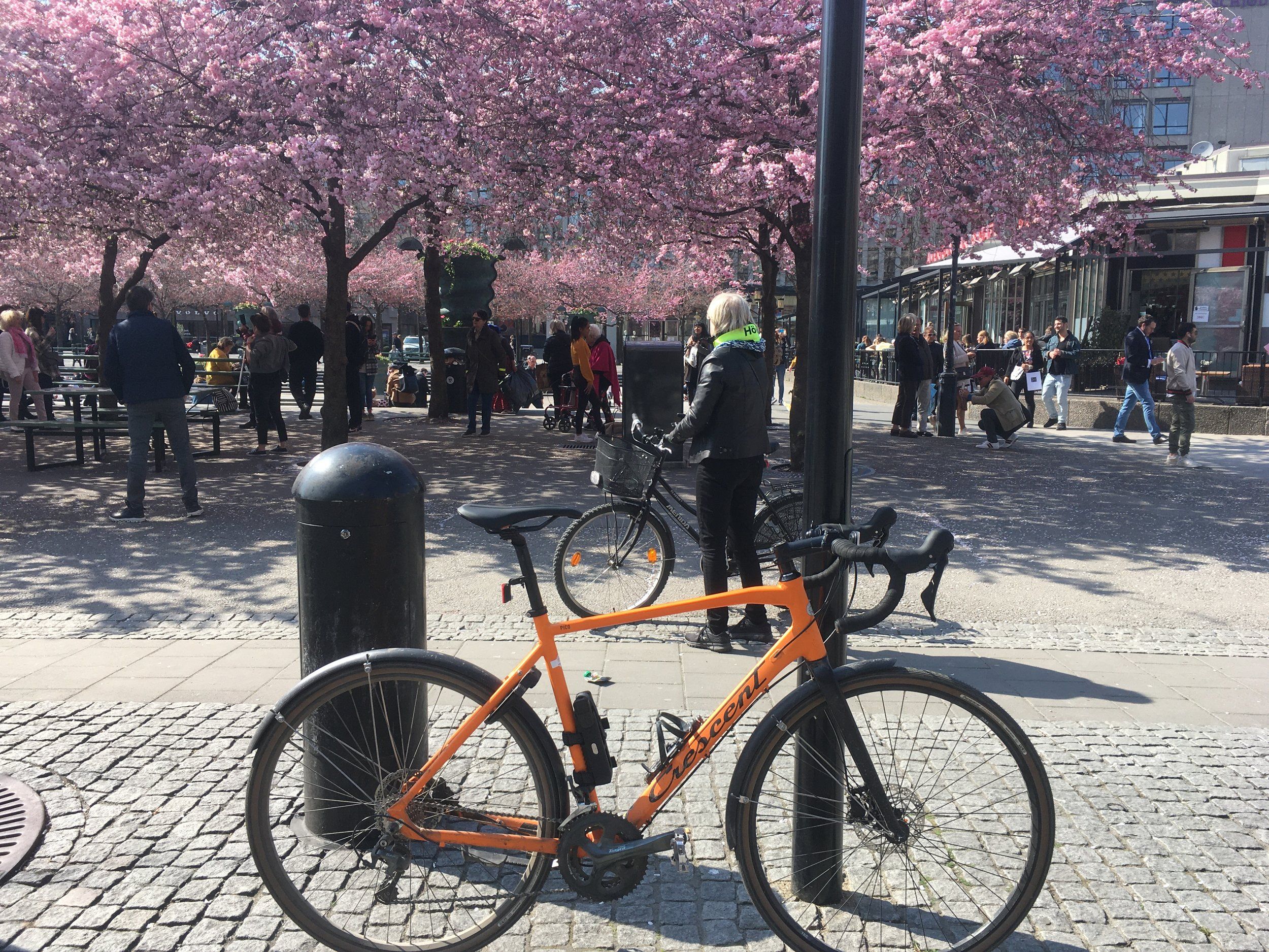 D78DD43D-D404-46FE-AB48-EEFF8738A858.jpeg