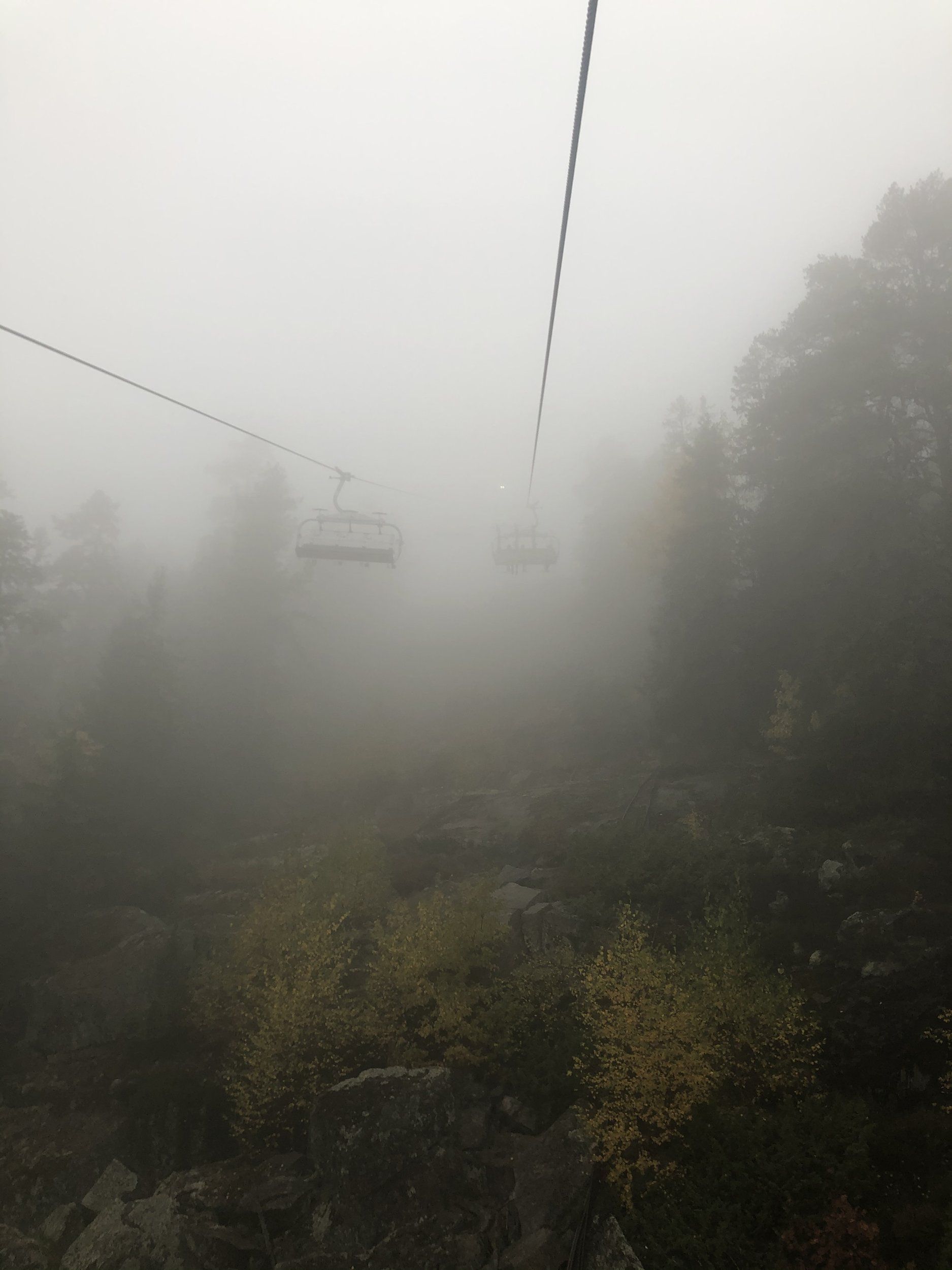 D79567A5-17FE-4178-BBF7-56F6A9C5FEDE.jpeg