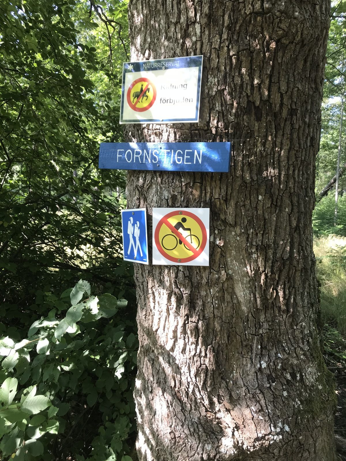 DA82F05E-8D07-4081-971D-F0EF9093E0C9.jpeg