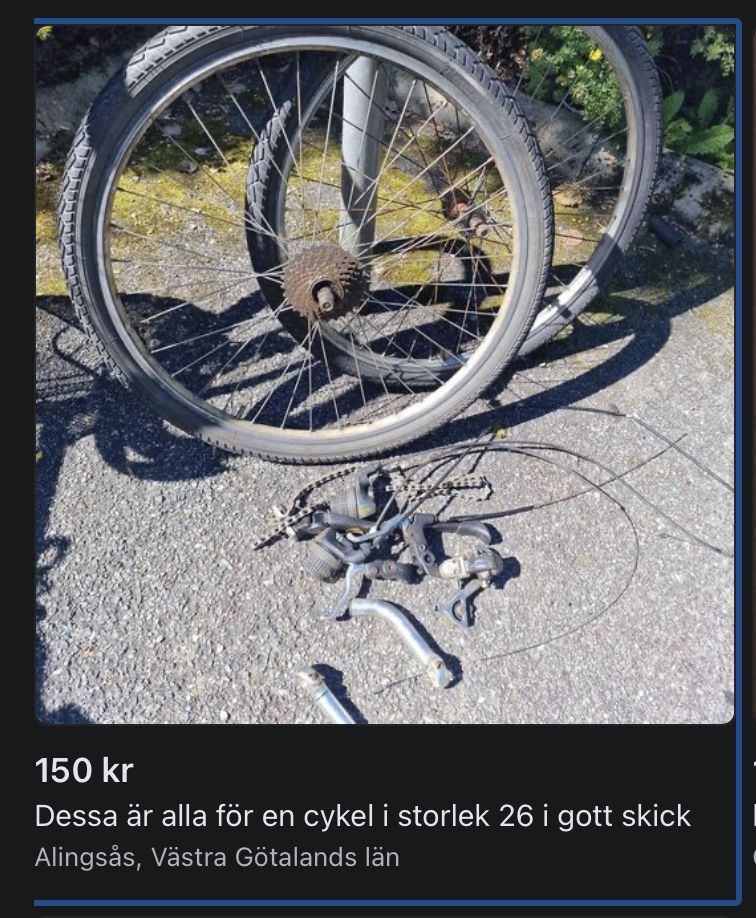 DAC69D00-EEDC-4D29-B7AD-A037B0201E92.jpeg