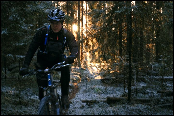daforrest.jpg ht=485