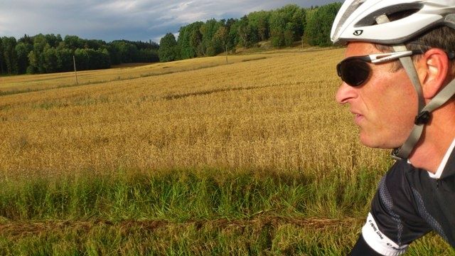 dalarovagen.jpg