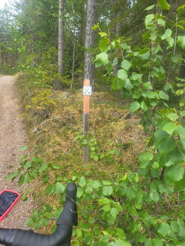 Dalkarlsvägen_20240803.jpg
