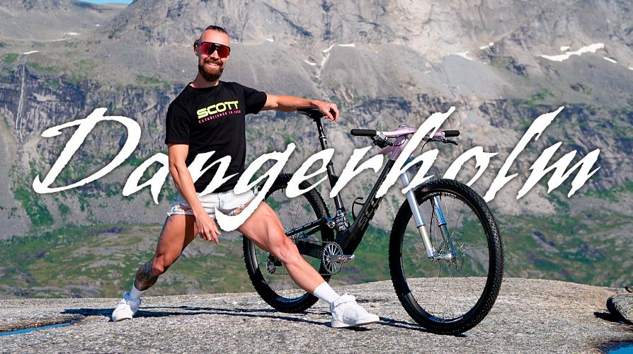 dangerholm_headerbild98.jpg