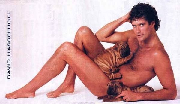 david-hasselhoff-with-puppies.jpg ht=346