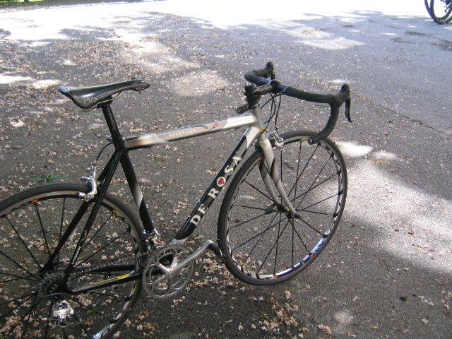 DeRosa017.jpg ht=480