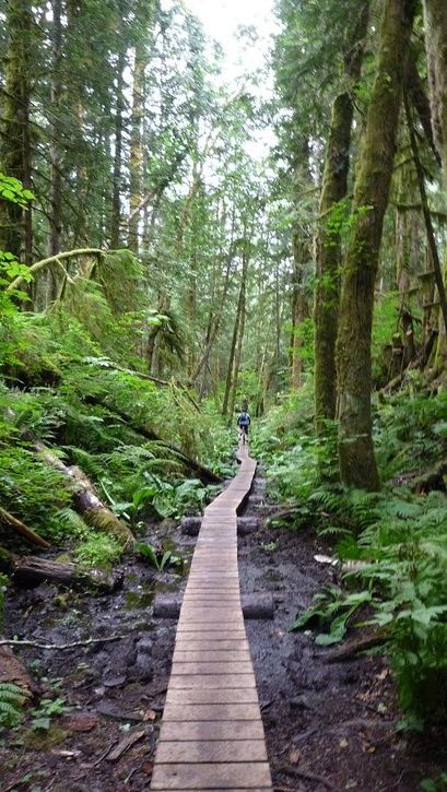 dead.ends.loop.woodwork.jpg ht=725