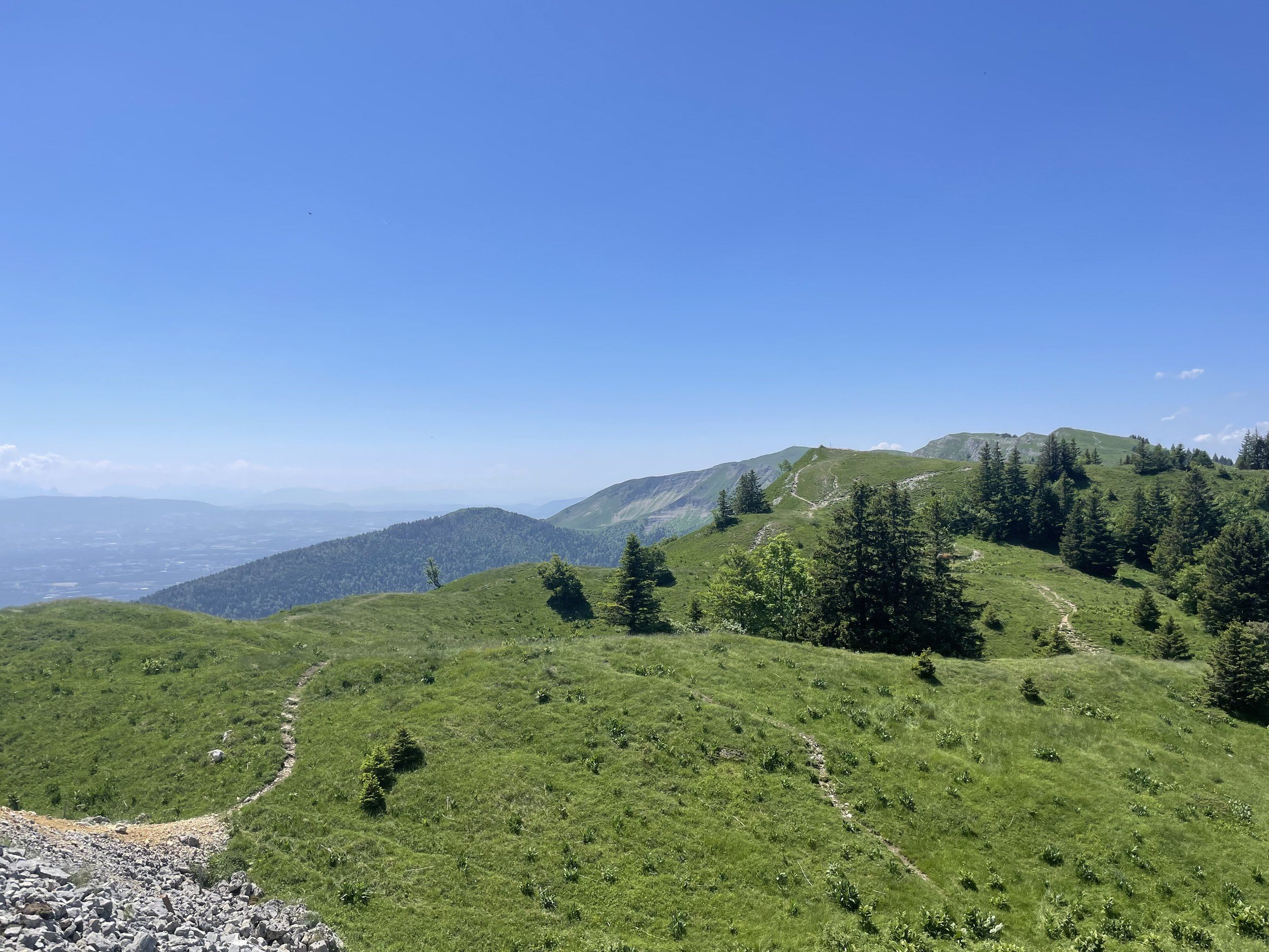 DF42AA0C-53A1-439D-A2A8-F50B8190A891.jpeg