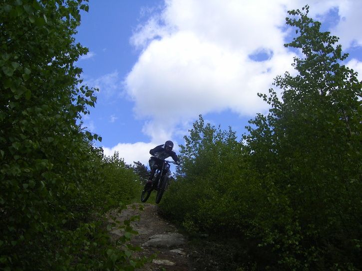 dh039.jpg ht=544